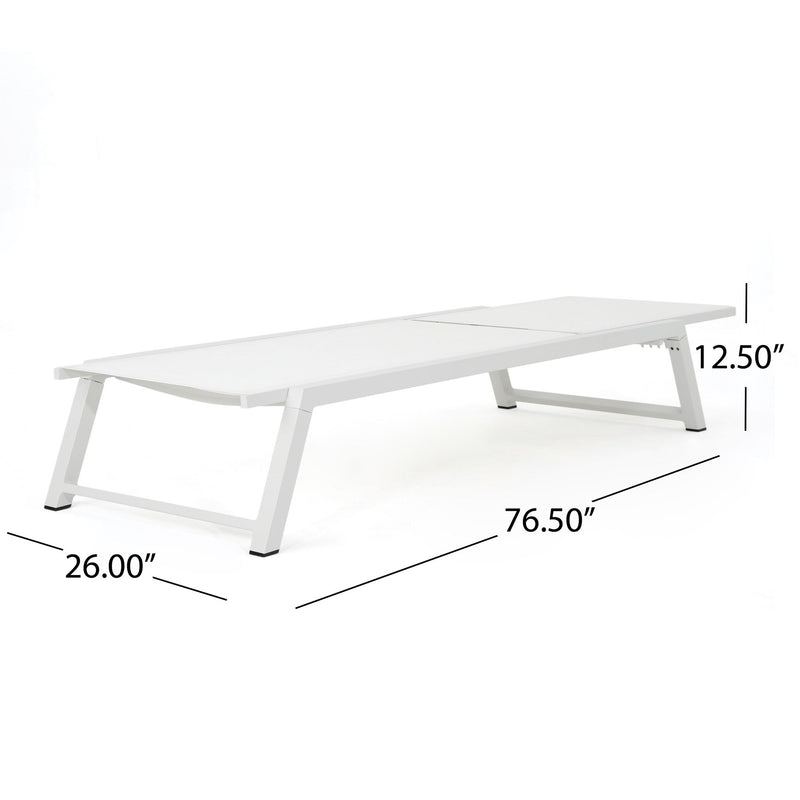 Myers - Modern Chaise Lounge Set With Adjustable Mesh Back