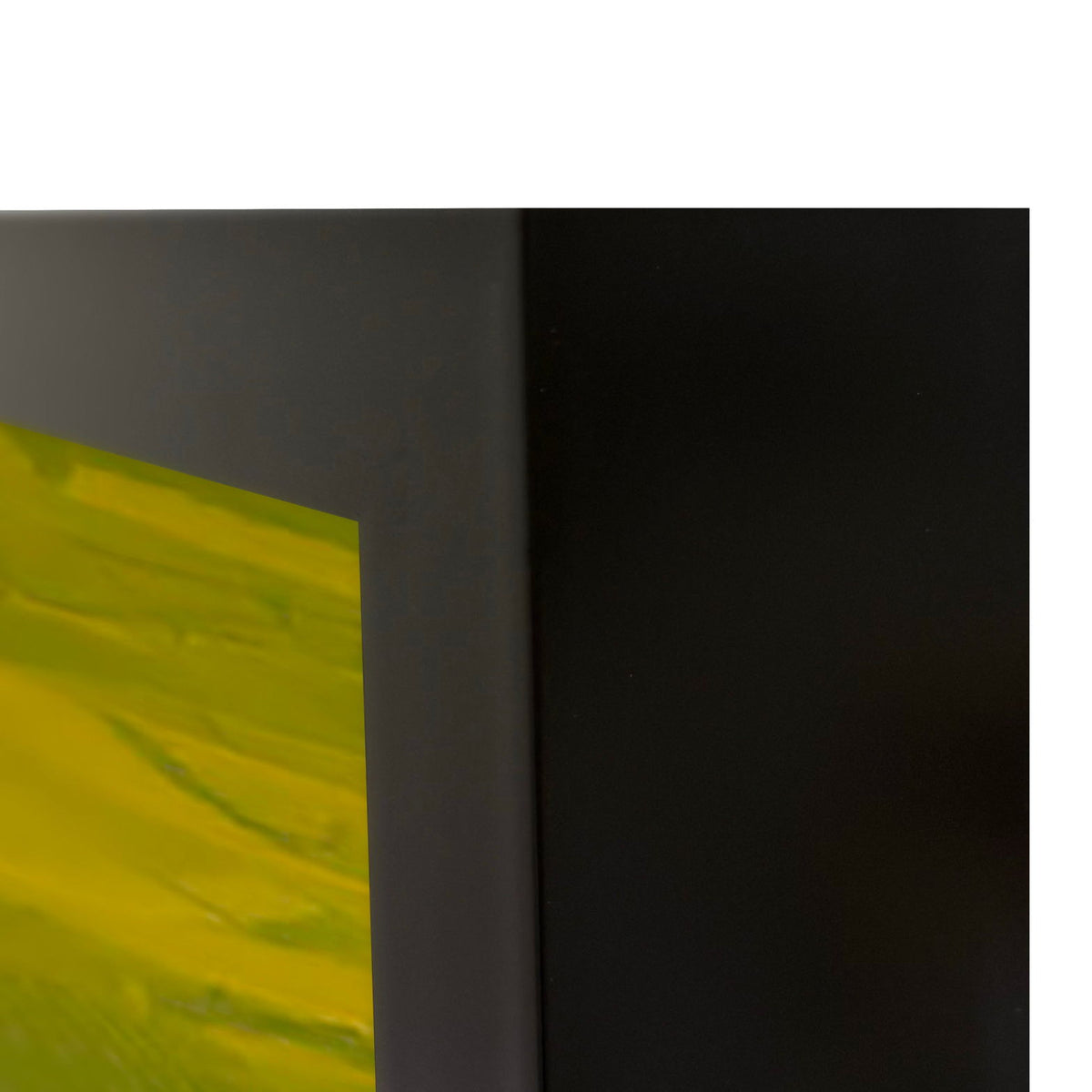 Vinyard - 48" x 72" Photography - Green