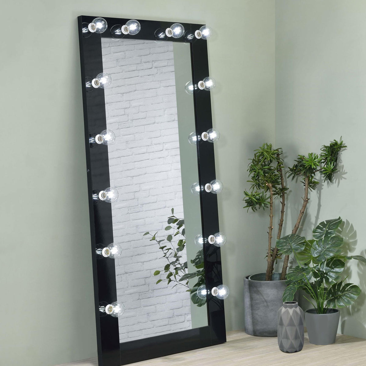 Zayan 32 x 71 Inch Floor Mirror LED Lighting Black Gloss