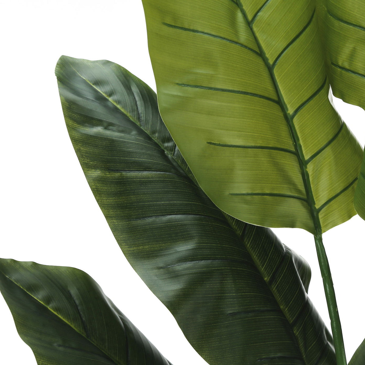 59" Tall, Artificial Plant, Strelitzia Tree, Indoor, Faux, Fake, Floor, Greenery, Potted, Real Touch, Decorative - Green / Black