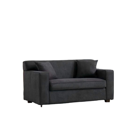 Gray 2-in-1 lounge chair with 4 in mattress and 2 throw pillows