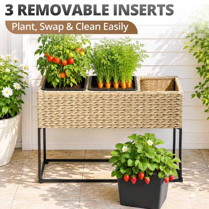 Woven planter box with three removable inserts, shown holding tomato and herb plants