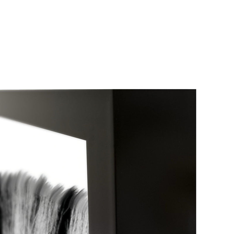 Black-and-white zebra photo print corner with black border edge, 48x72 in