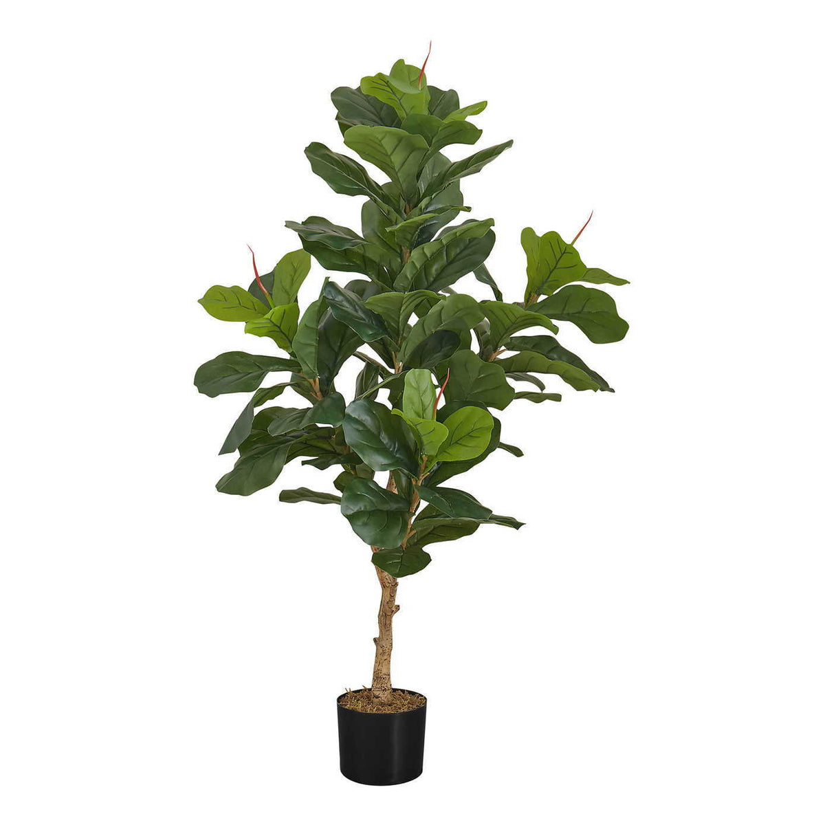 47" Tall, Artificial Plant, Fiddle Tree, Indoor, Faux, Fake, Floor, Greenery, Potted, Real Touch, Decorative - Green / Black