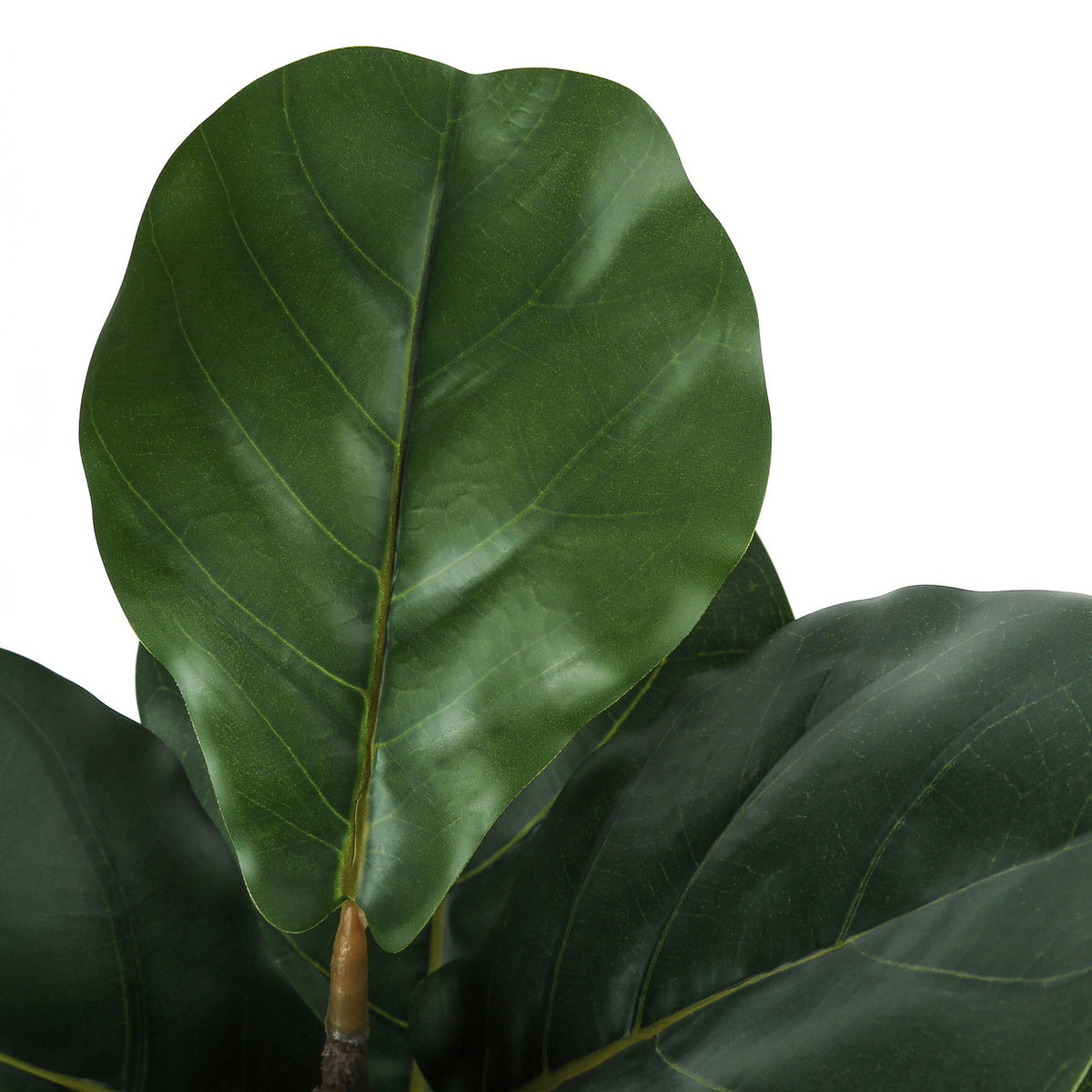 49" Tall, Artificial Plant, Fiddle Tree, Indoor, Faux, Fake, Floor, Greenery, Potted, Real Touch, Decorative - Green / Black