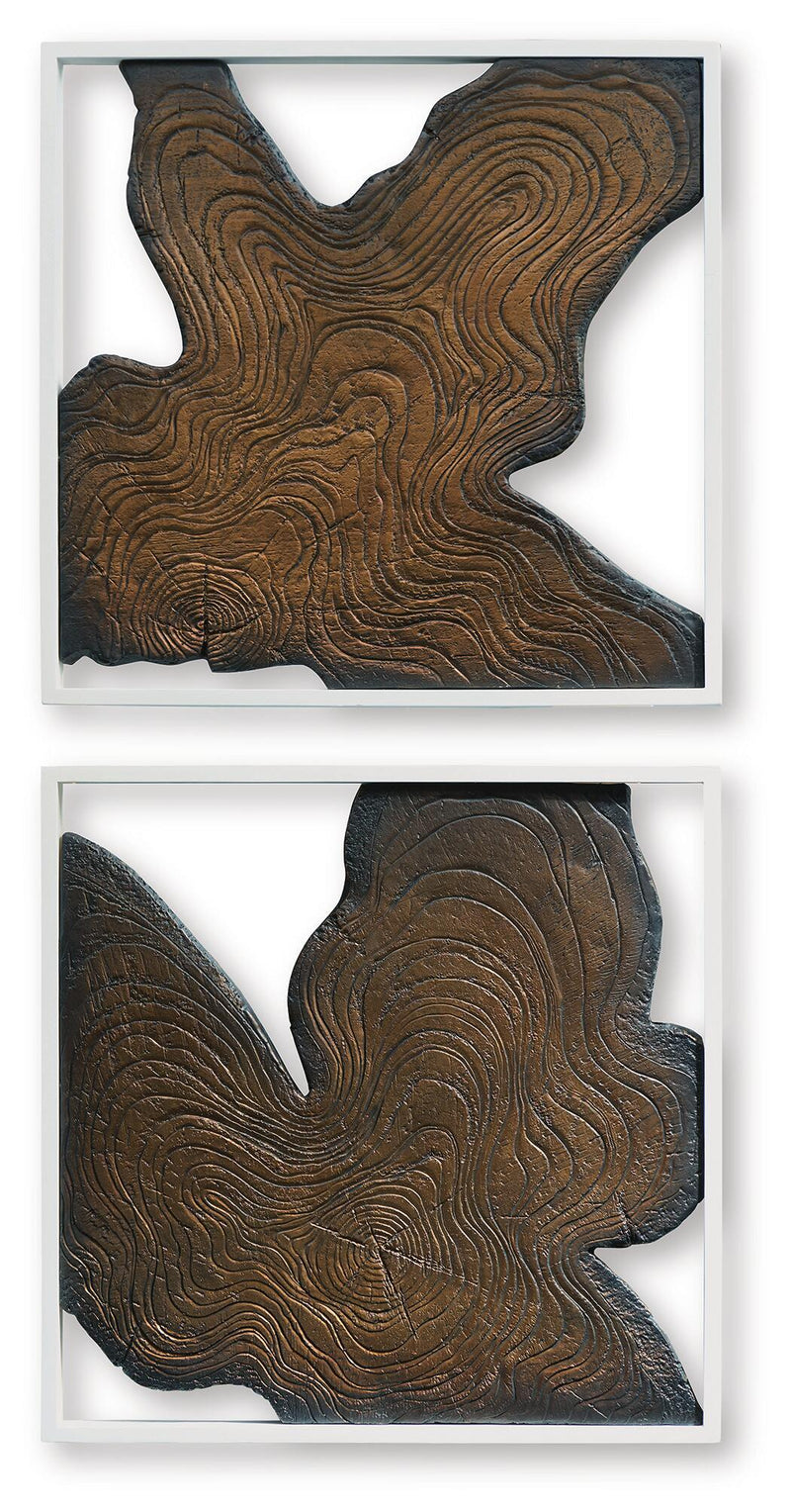 Wall decor set of 2 framed abstract wood plaques, close-up brown swirl grain