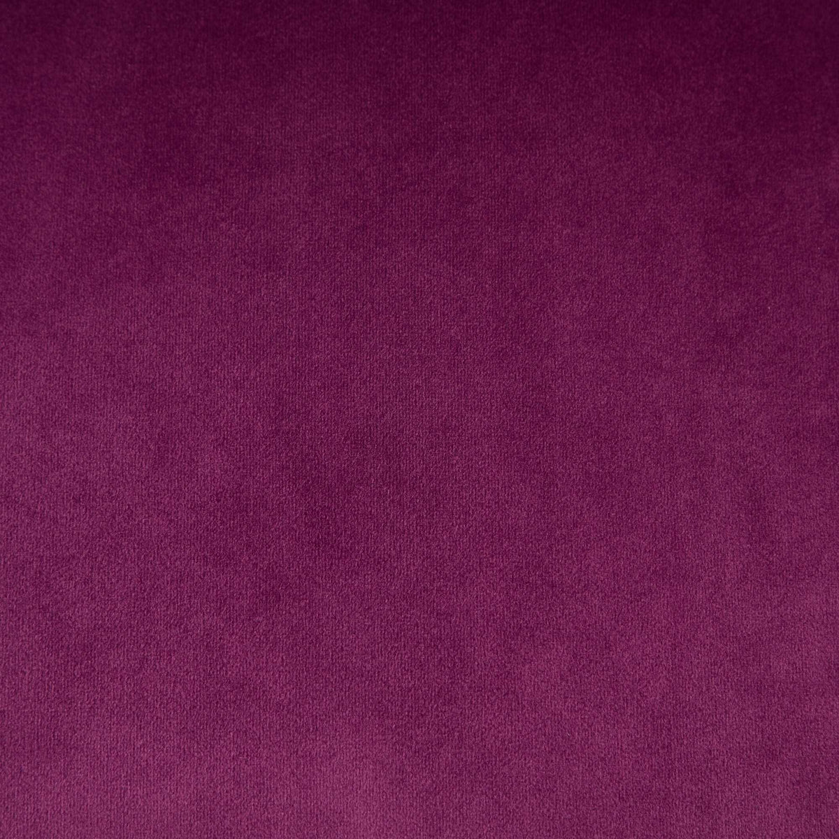 23190763