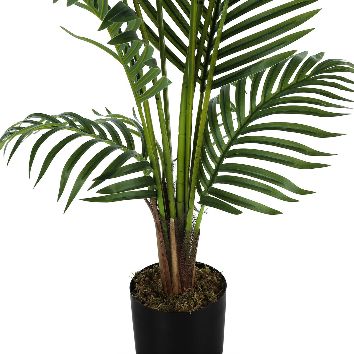 57" Tall, Artificial Plant, Palm Tree, Indoor, Faux, Fake, Floor, Greenery, Potted, Real Touch, Decorative - Green / Black