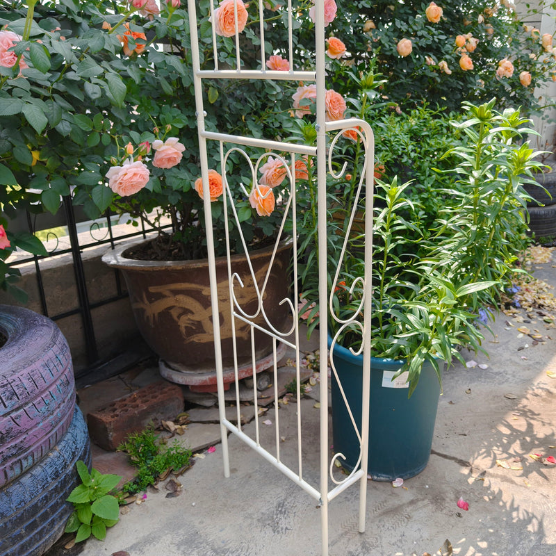 Metal Garden Arch Garden Arbor Trellis Climbing Plants Support Rose Arch Outdoor Arch