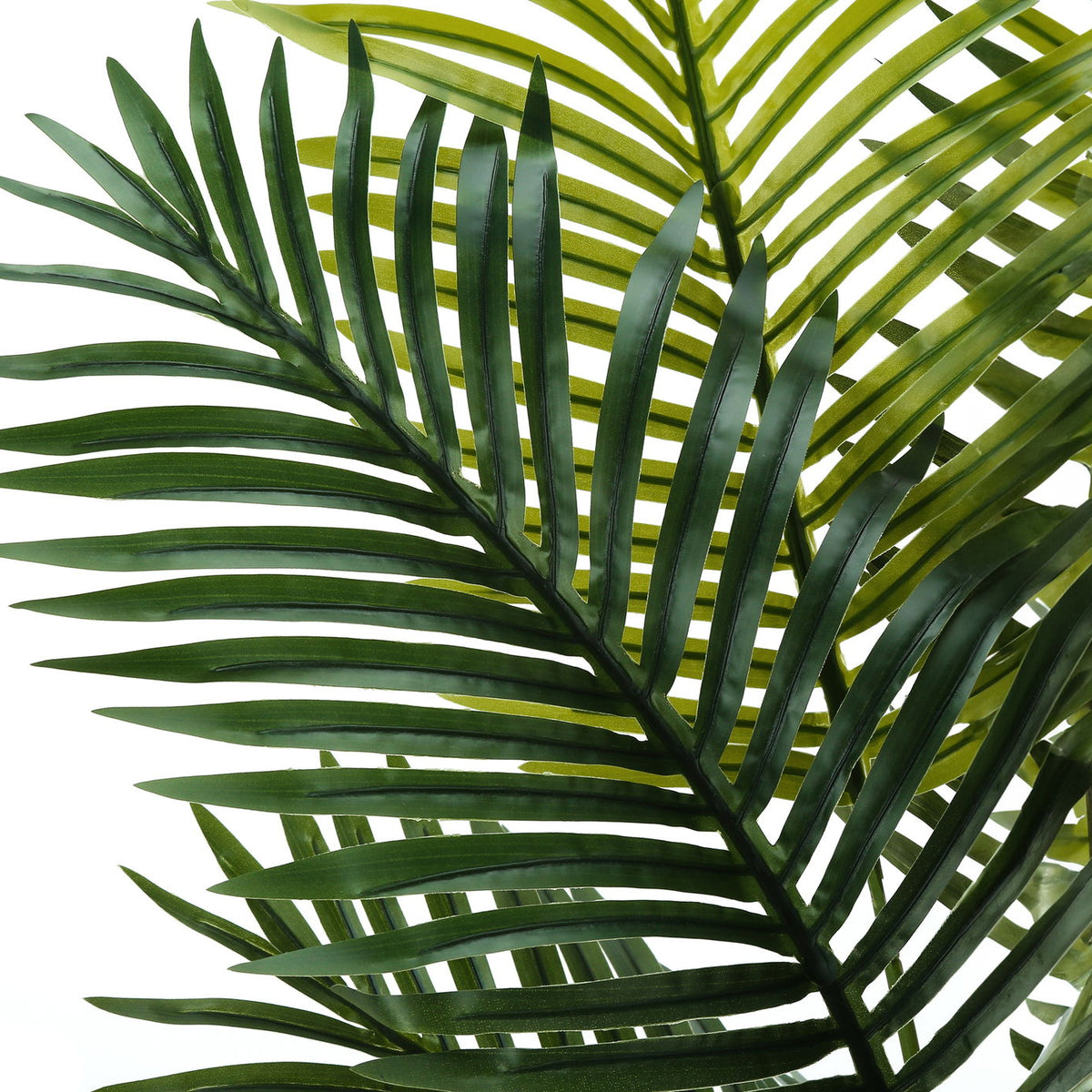 57" Tall, Artificial Plant, Palm Tree, Indoor, Faux, Fake, Floor, Greenery, Potted, Real Touch, Decorative - Green / Black