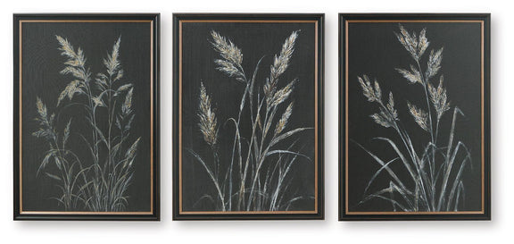 Set of three framed botanical leaf prints, dark background with pale white-gold stems