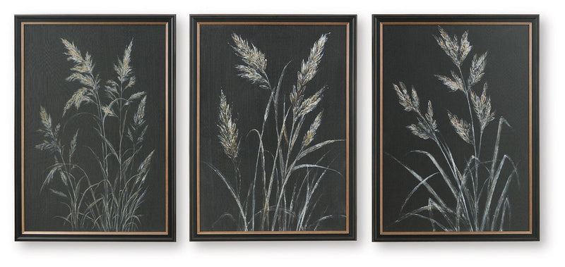 Set of three framed botanical leaf prints, dark background with pale white-gold stems