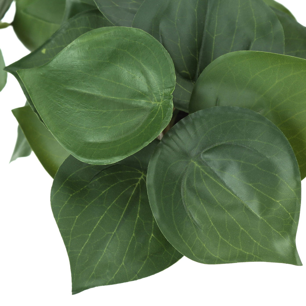 8" Tall, Artificial Plant, Alocasia, Indoor, Faux, Fake, Table, Greenery, Potted, Decorative (Set of 2) - Green / White