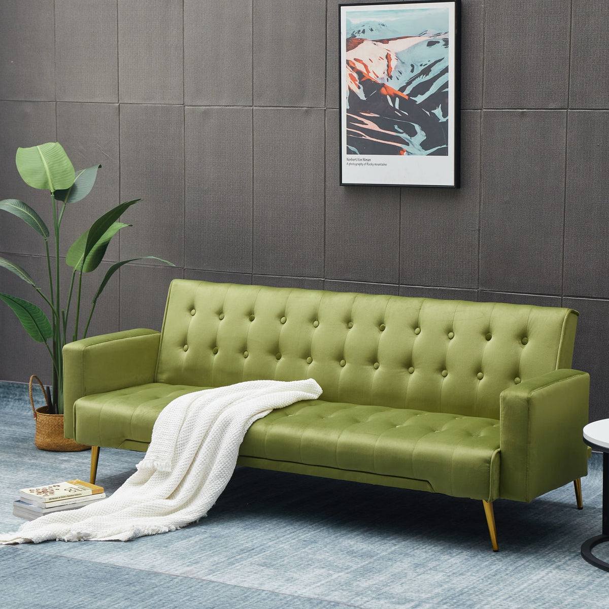Comfort Compact Design Sofa Bed