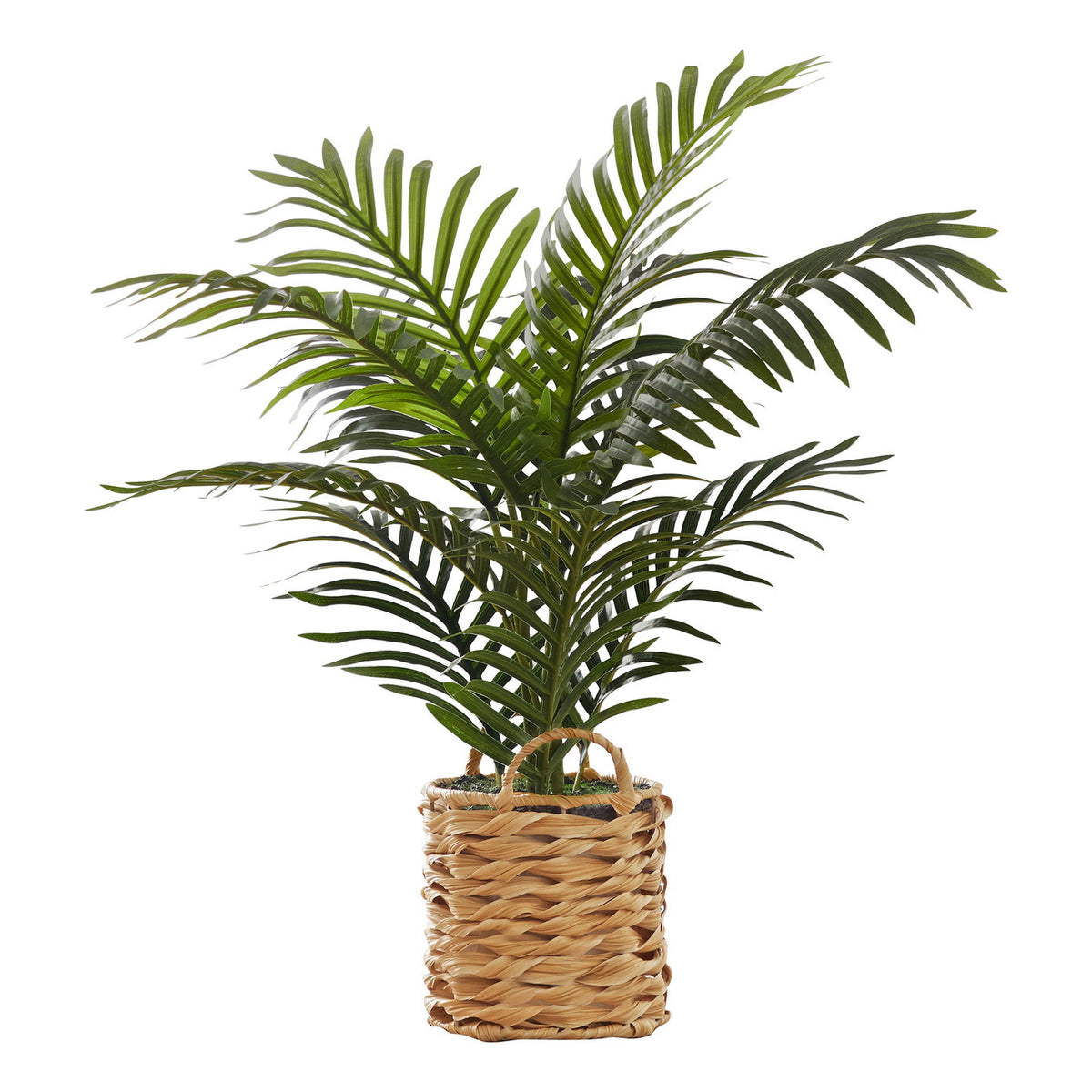 24" Tall, Artificial Plant, Palm, Indoor, Faux, Fake, Table, Floor, Greenery, Potted, Real Touch, Decorative - Green / Beige