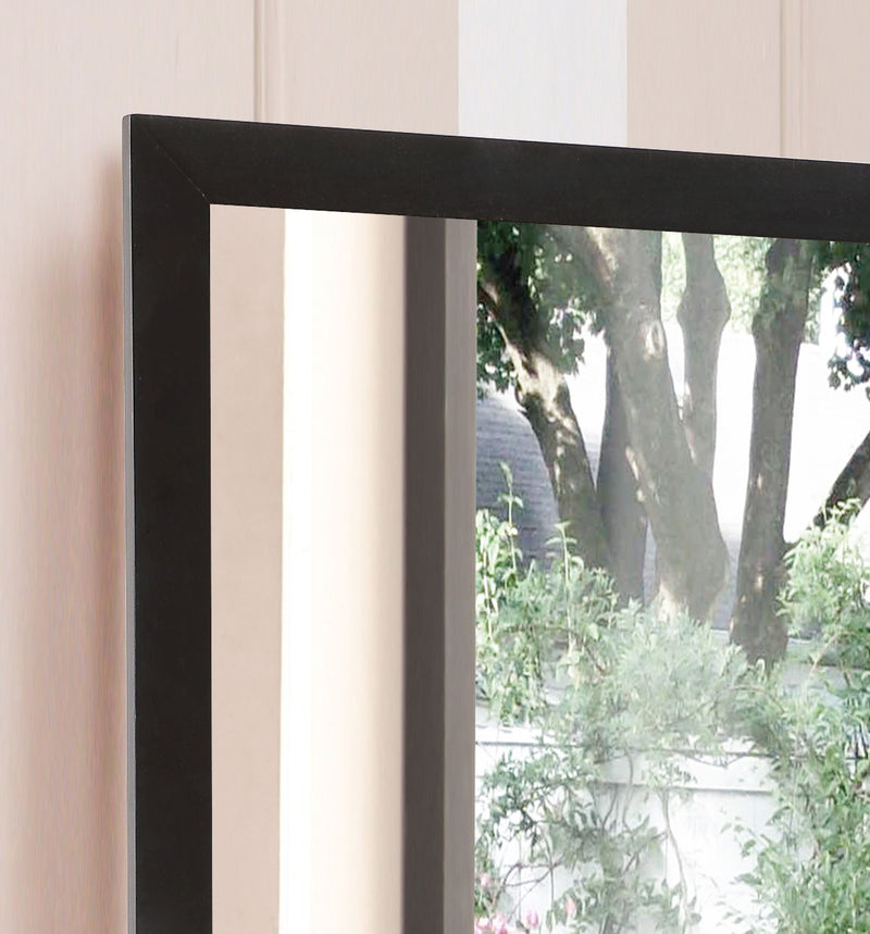 Modern Design Transitional Wall Mirror