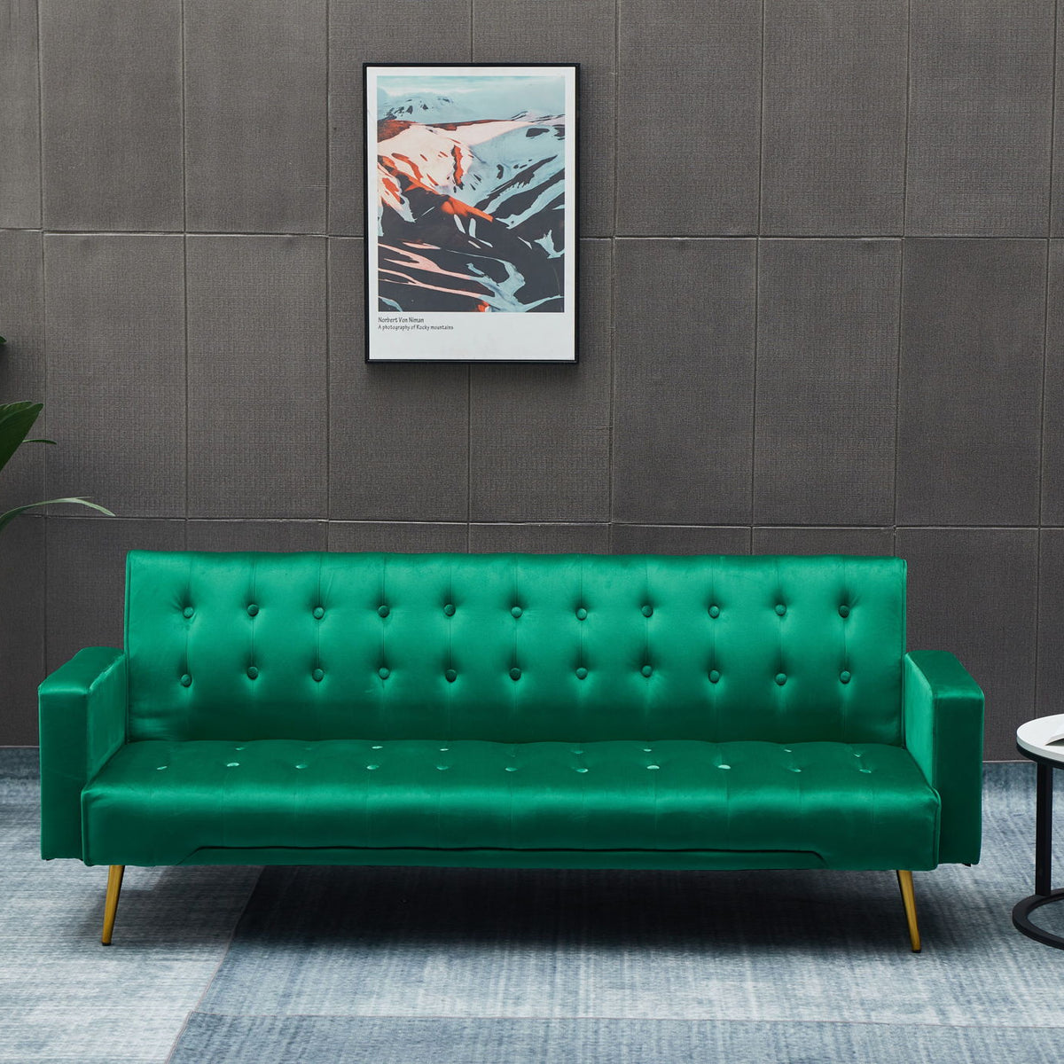 Comfort Compact Design Sofa Bed