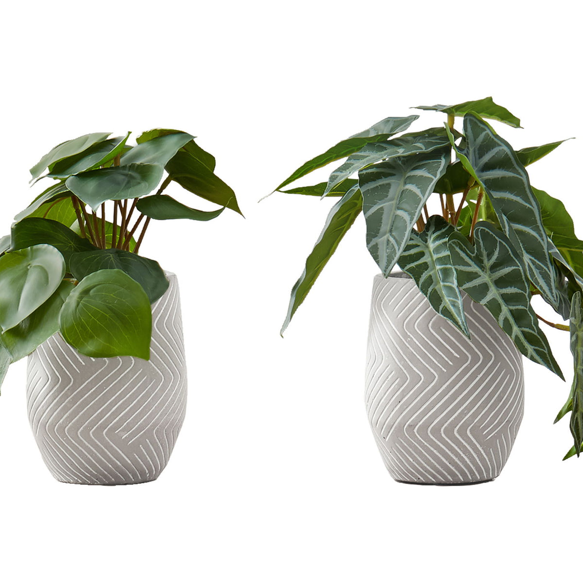 8" Tall, Artificial Plant, Alocasia, Indoor, Faux, Fake, Table, Greenery, Potted, Decorative (Set of 2) - Green / White