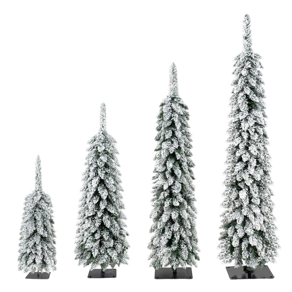 Four slim green Christmas trees with snow-dusted tips in graduated sizes