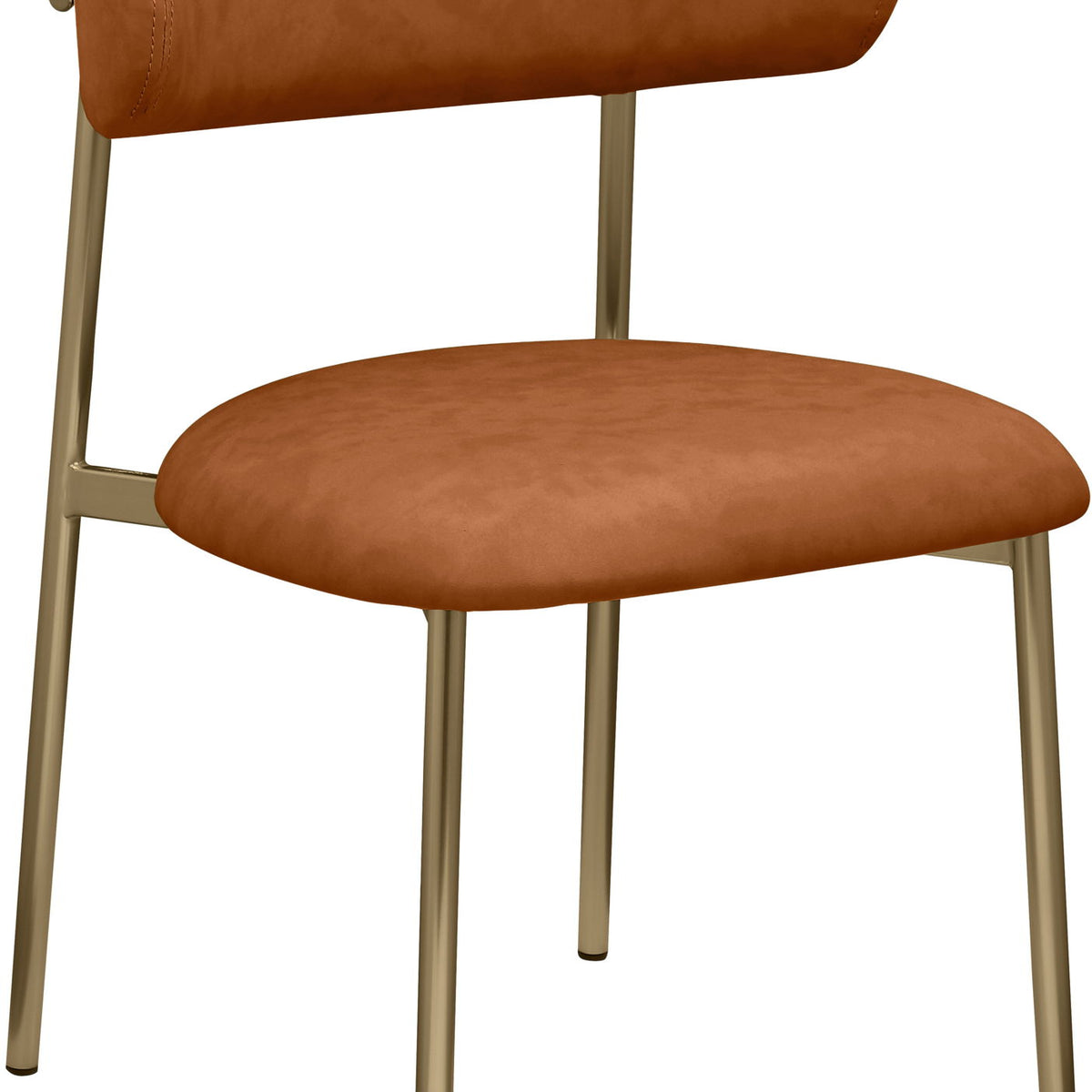 Lupita - Dining Chair With Brushed Gold Legs(Set of 2)