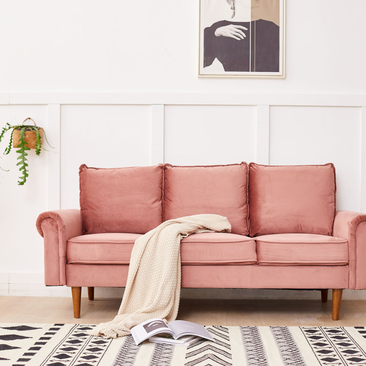 Graceful Design Plush Comfort Sofa