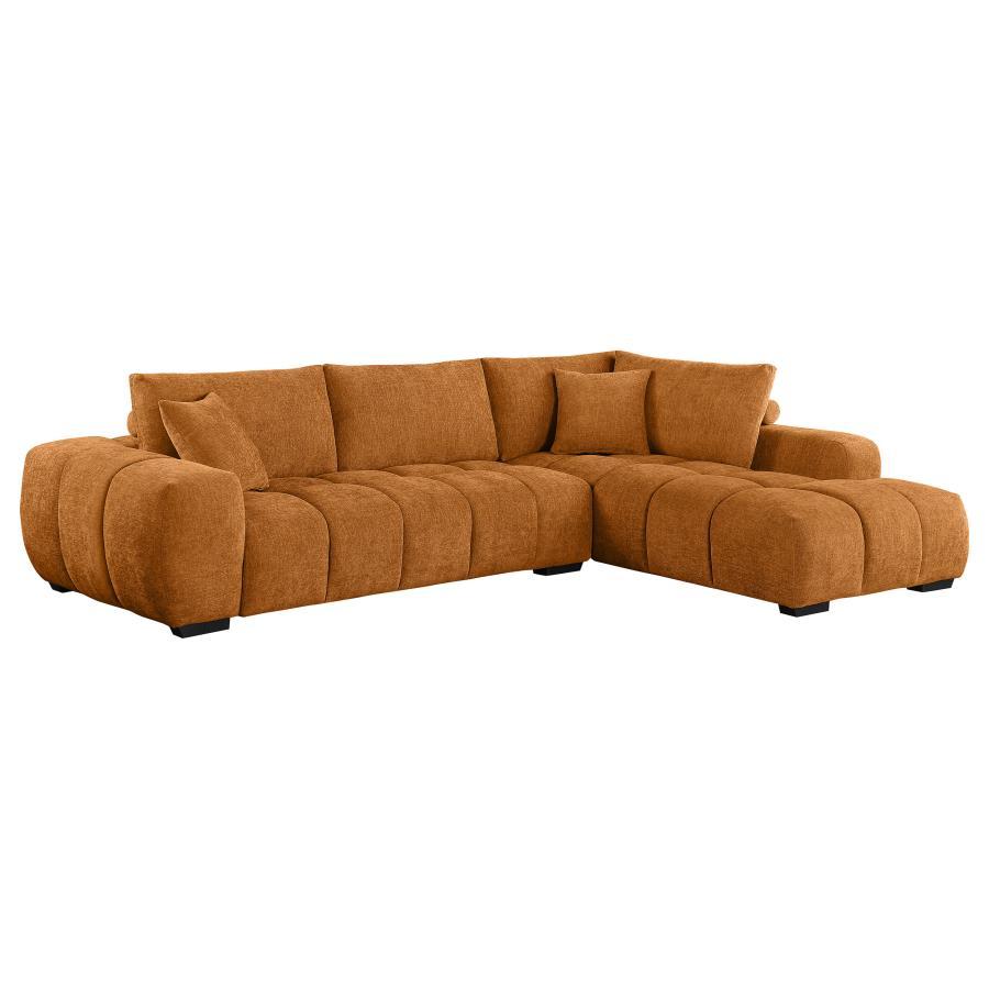 Coaster Furniture Camacho Chaise Sectional Sofa