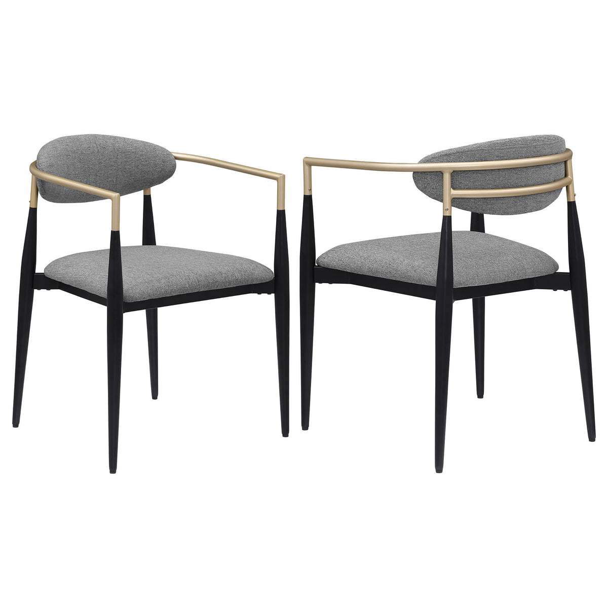 Mistra - Dining Arm Chair (Set of 2)