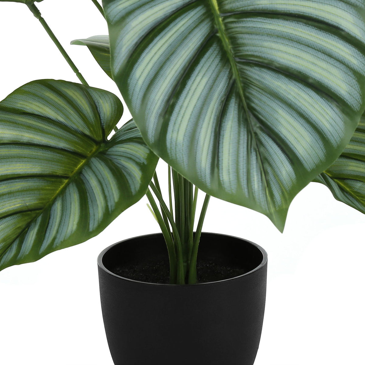 24" Tall, Artificial Plant, Calathea, Indoor, Faux, Fake, Table, Greenery, Potted, Real Touch, Decorative - Green / Black