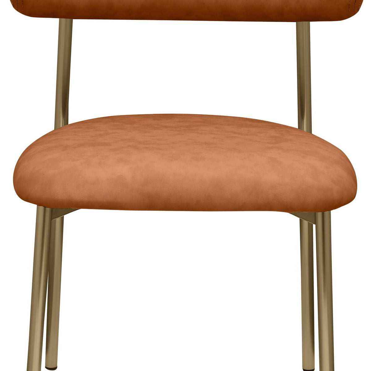 Lupita - Dining Chair With Brushed Gold Legs (Set of 2)