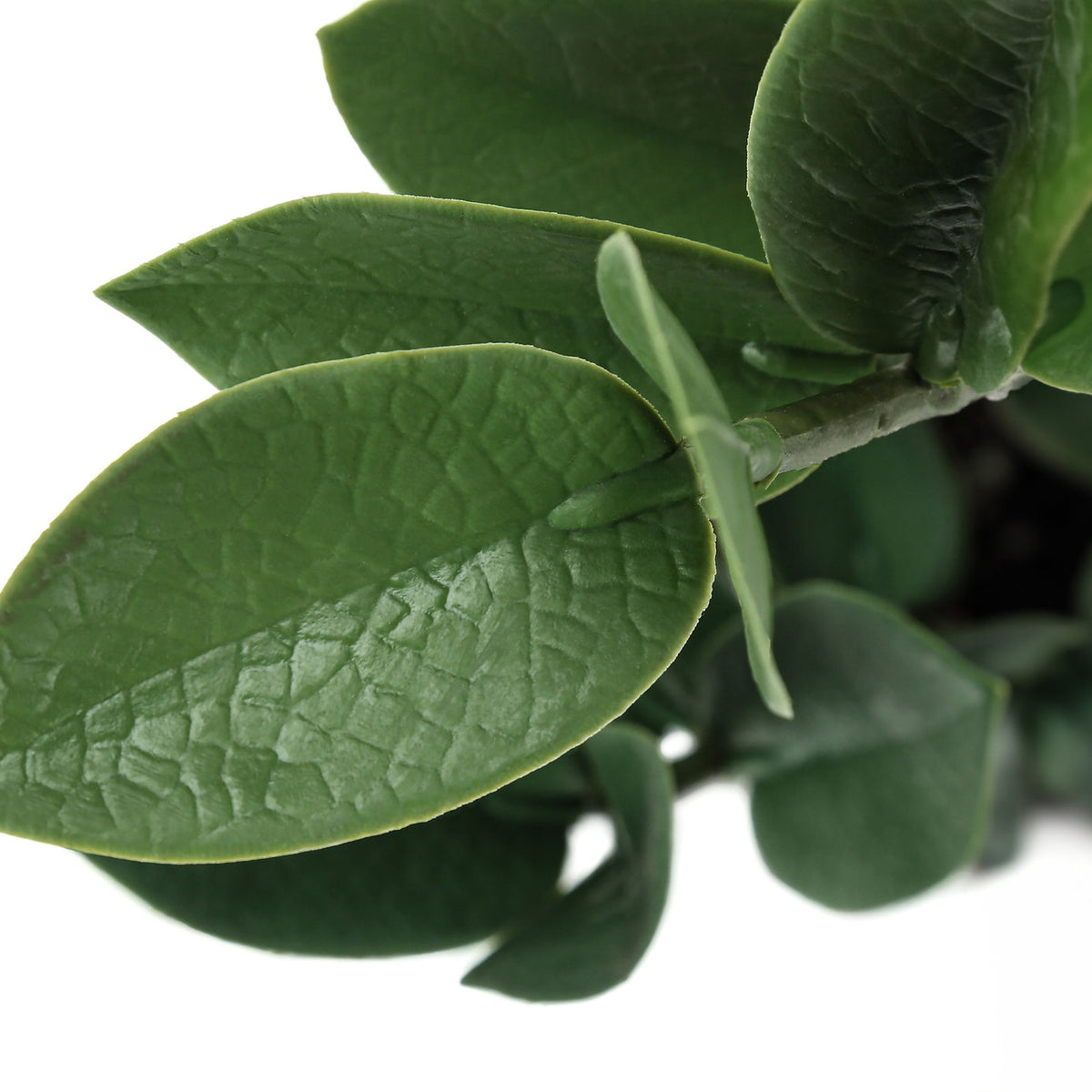 20" Tall, Artificial Plant, Zz, Indoor, Faux, Fake, Table, Greenery, Potted, Real Touch, Decorative - Green / Gray