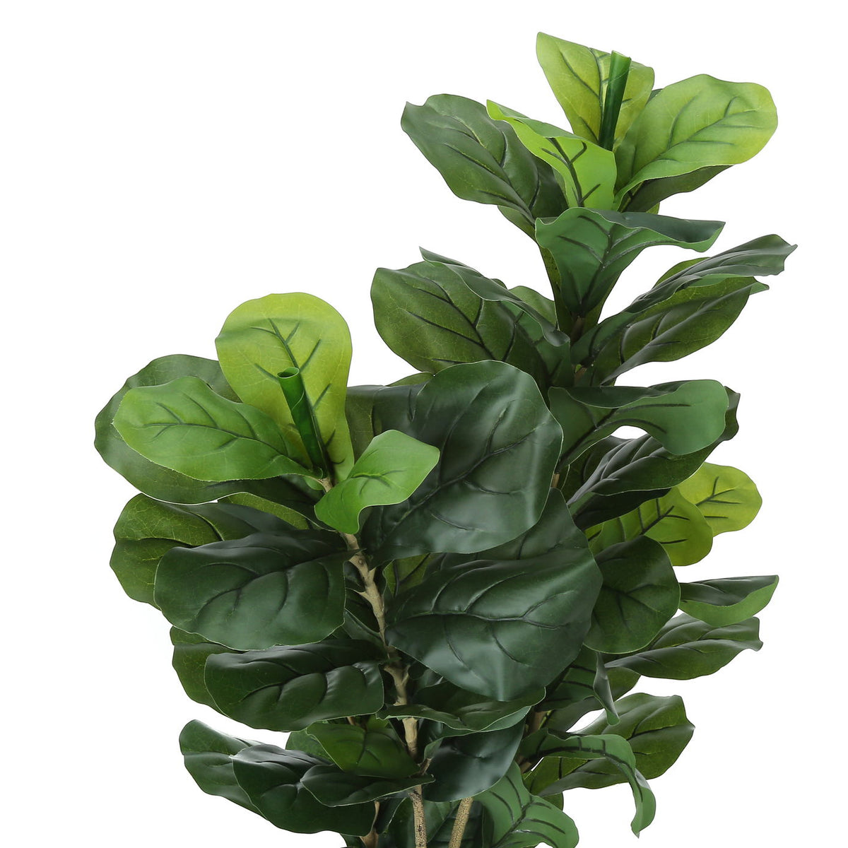 41" Tall, Artificial Plant, Fiddle Tree, Indoor, Faux, Fake, Floor, Greenery, Potted, Real Touch, Decorative - Green / Black