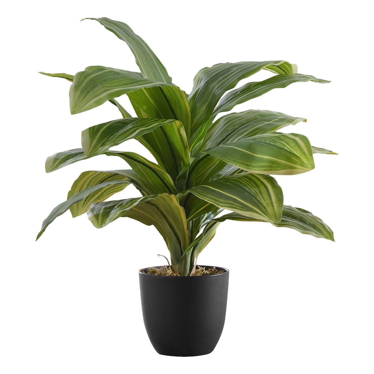 17" Tall, Artificial Plant, Dracaena, Indoor, Faux, Fake, Table, Greenery, Potted, Real Touch, Decorative - Green / Black