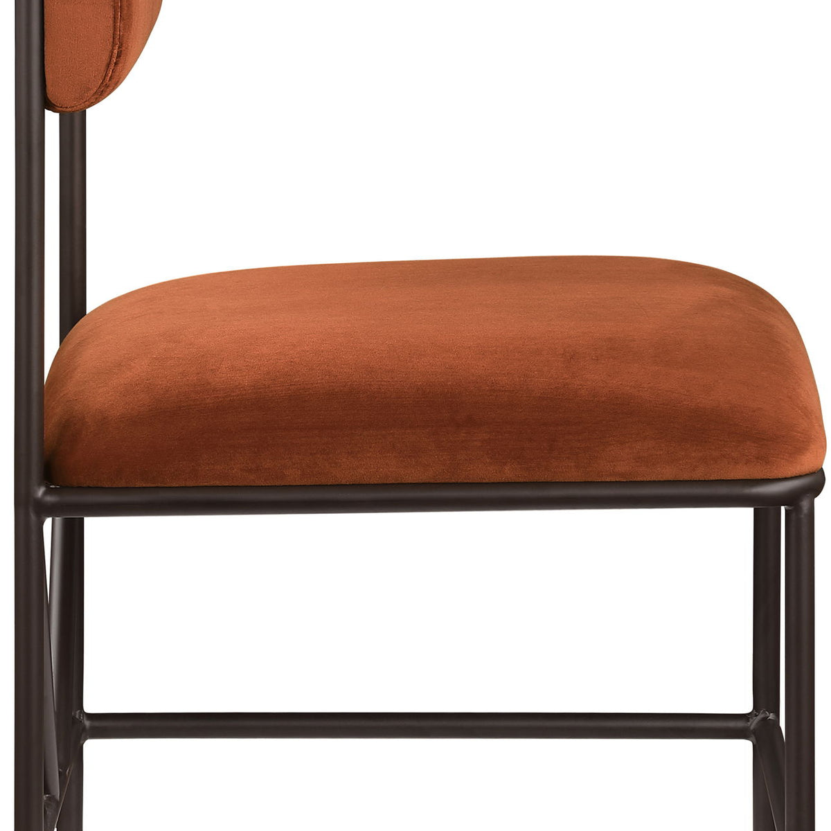 Monarch - Velvet Dining Chair (Set of 2)