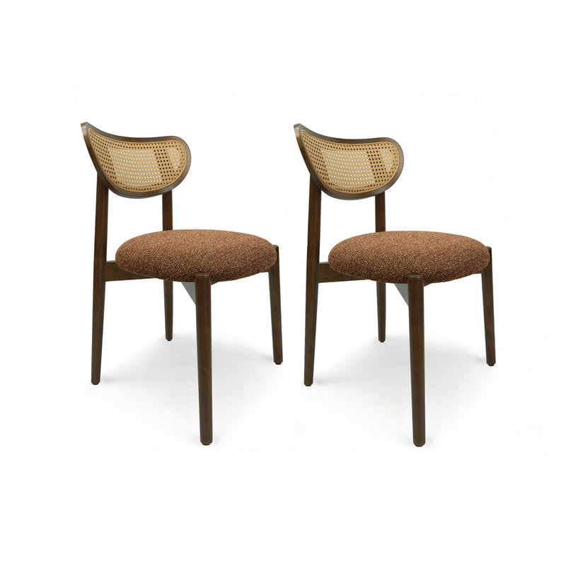 Pair of rattan dining chairs with brown seats and dark wood frames