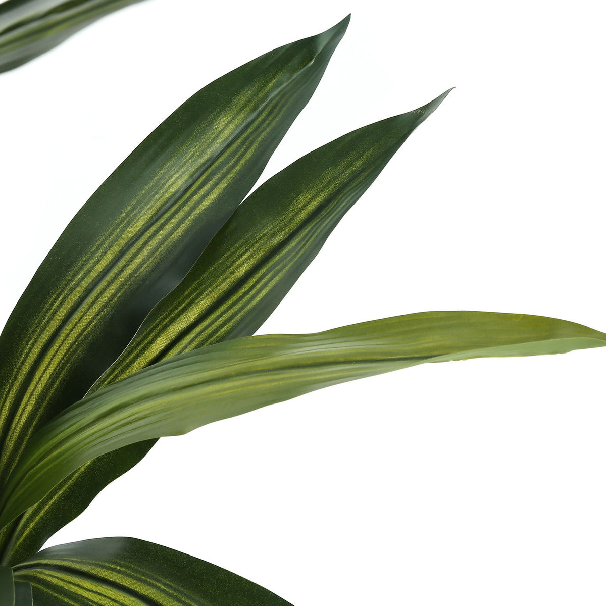 51" Tall, Artificial Plant, Dracaena Tree, Indoor, Faux, Fake, Floor, Greenery, Potted, Real Touch, Decorative - Green / Black