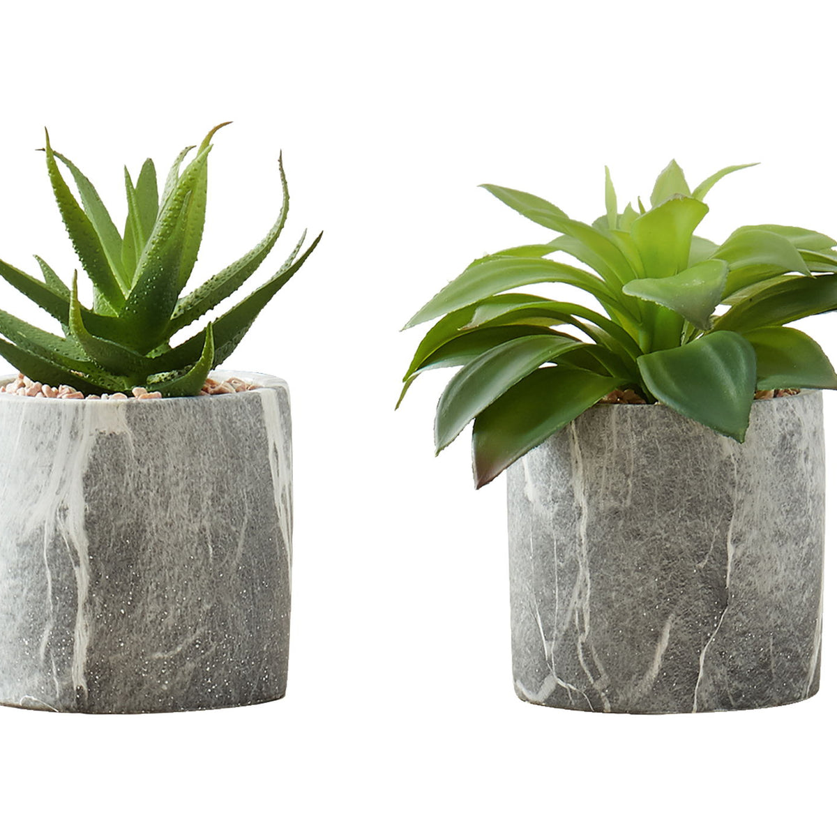 6" Tall, Artificial Plant, Succulent, Indoor, Faux, Fake, Table, Greenery, Potted, Decorative (Set of 2) - Green / Gray