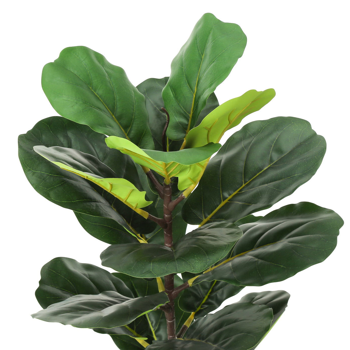 28" Tall, Artificial Plant, Fiddle Tree, Indoor, Faux, Fake, Floor, Greenery, Potted, Real Touch, Decorative - Green / Beige