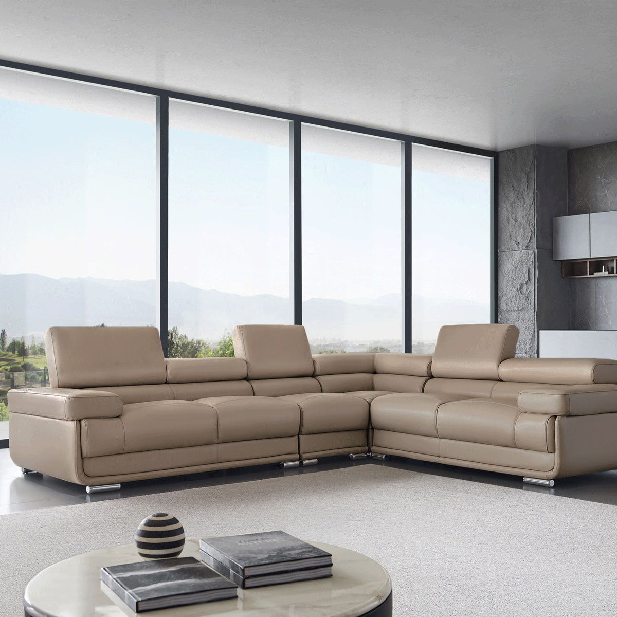 2119 - Sectional