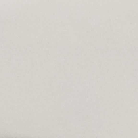 24905585