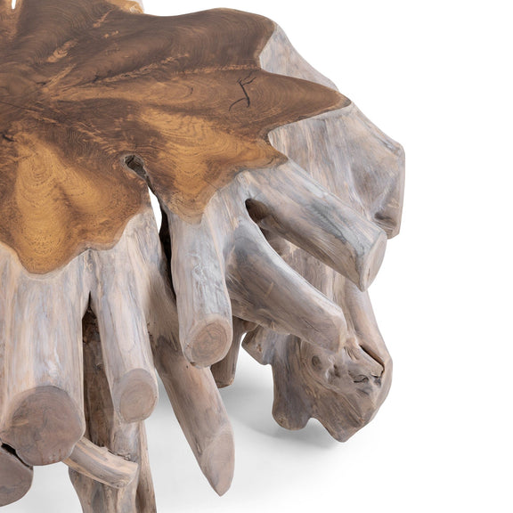 Natural white wash root coffee table, whitewashed legs with dark wood tabletop