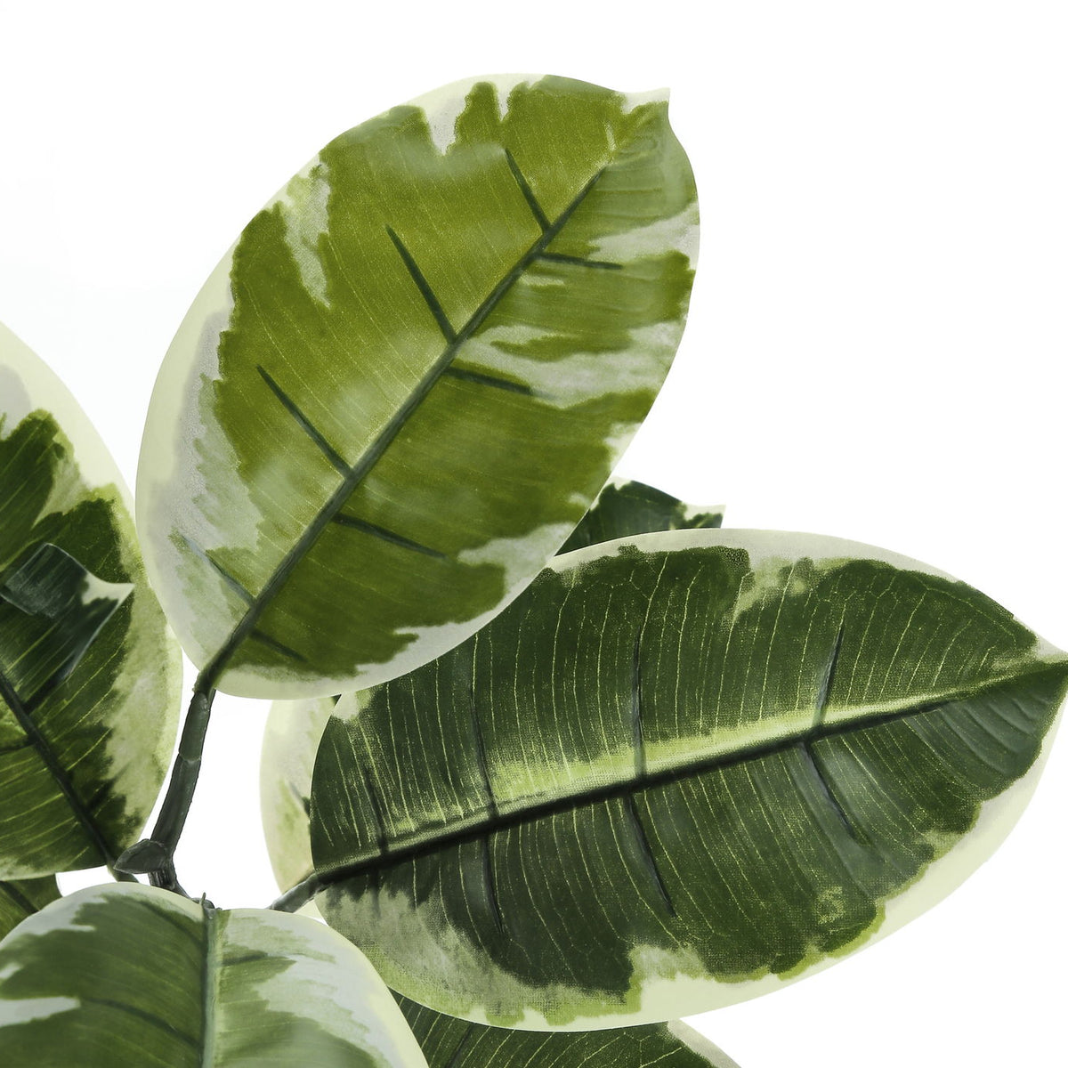 52" Tall, Artificial Plant, Rubber Tree, Indoor, Fake, Floor, Greenery, Potted, Real Touch, Decorative - Green / Black