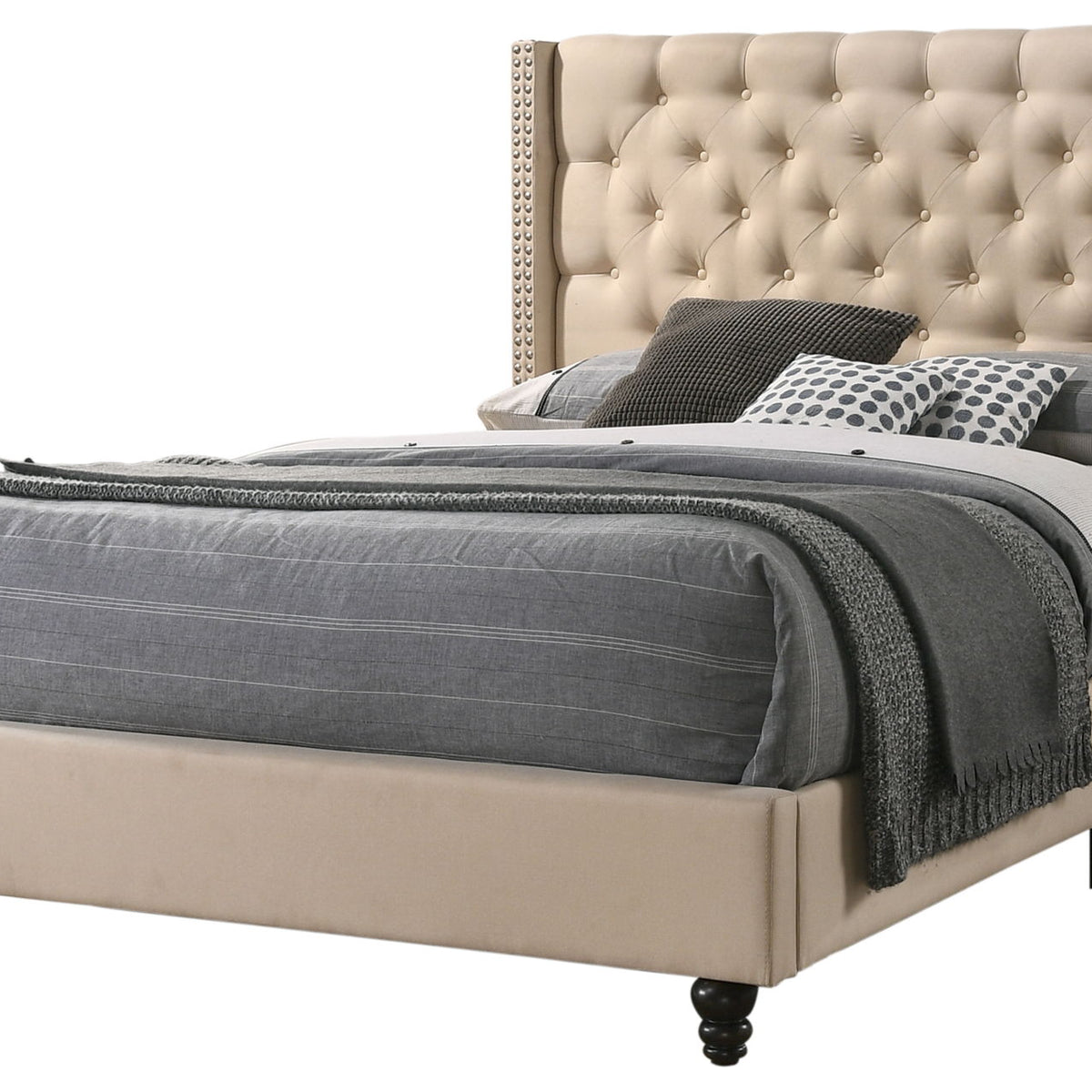 Nailhead Bed Transitional Vibrant