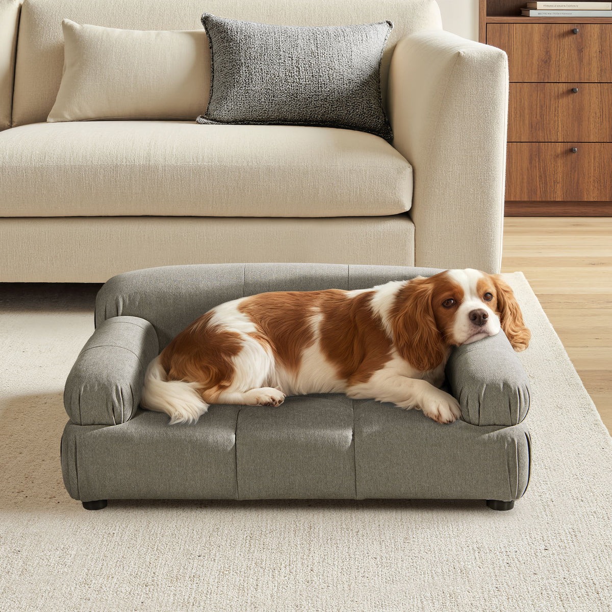 Gray pet sofa bed for dogs and cats with tufted cushions; dog resting on it