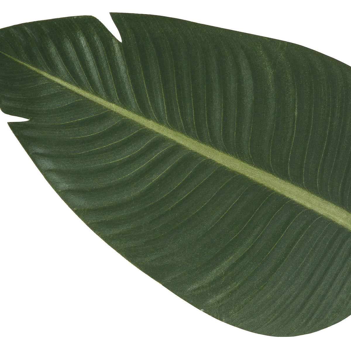 60" Tall, Artificial Plant, Bird Of Paradise Tree, Indoor, Faux, Fake, Floor, Greenery, Potted, Decorative - Green / Black