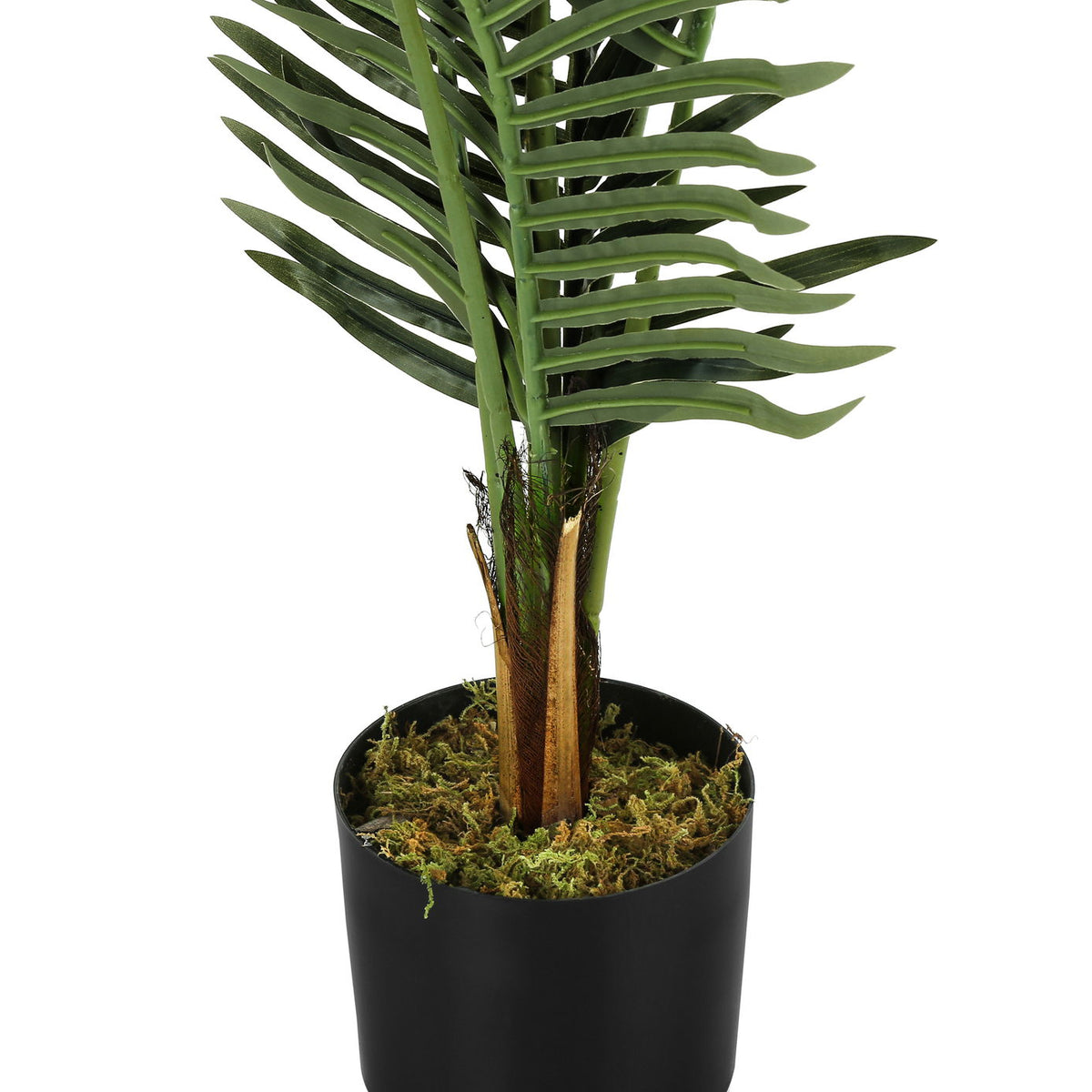 47" Tall, Artificial Plant, Palm Tree, Indoor, Faux, Fake, Floor, Greenery, Potted, Real Touch, Decorative - Green / Black