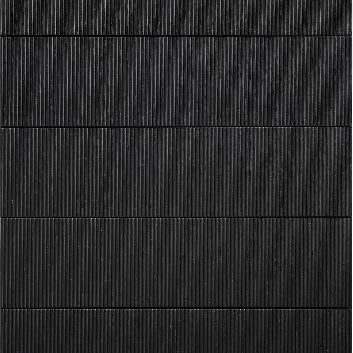 Scallop - Chest