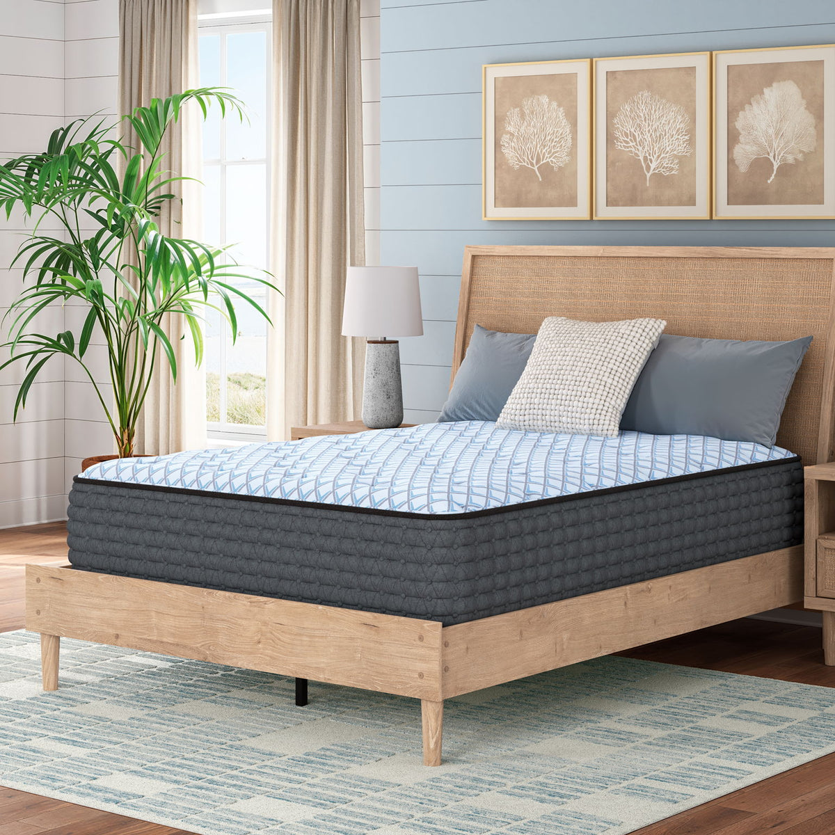 Destin Cove Plush - Mattress
