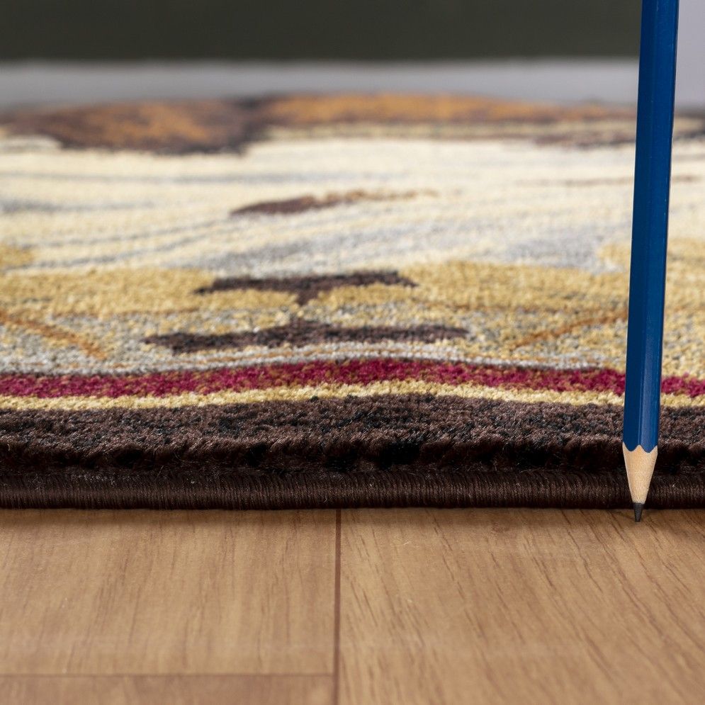 Lodge area rug texture close-up with multicolor stripe border, dark brown pile
