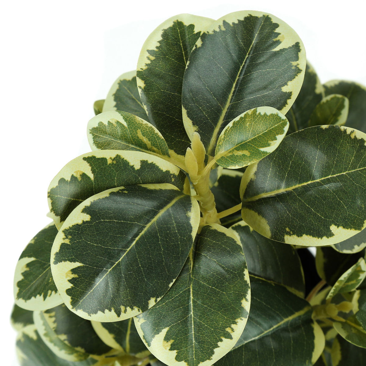14" Tall, Artificial Plant, Ficus, Indoor, Faux, Fake, Table, Greenery, Potted, Decorative (Set of 2) - Green / Black