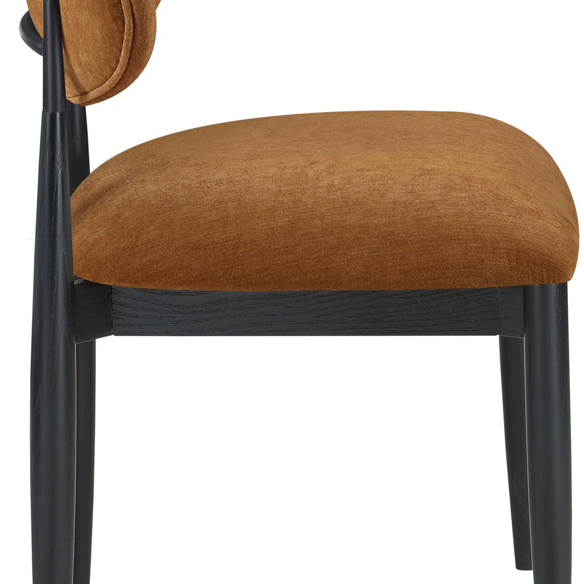 Riccio - Fabric Dining Side Chair (Set of 2) - Black Frame